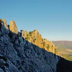Horses And Nature *