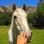 Horses And Nature * Ταρίφα