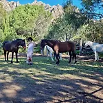 Horses And Nature Βίλα *