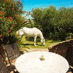 Βίλα Horses And Nature *