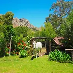 Βίλα Horses And Nature