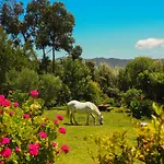 Βίλα Horses And Nature *