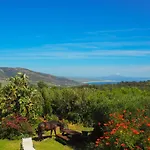 Horses And Nature