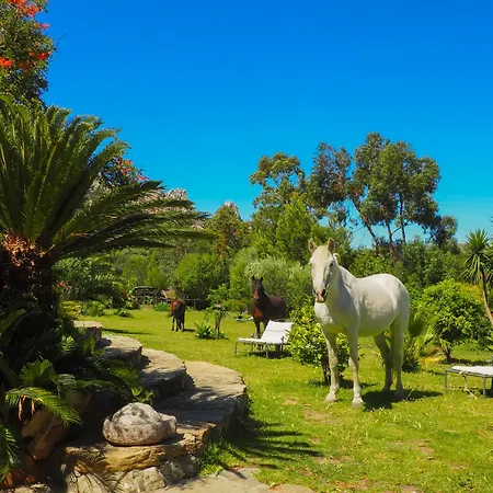 Villa Horses And Nature