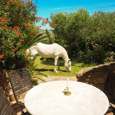 Villa Horses And Nature *