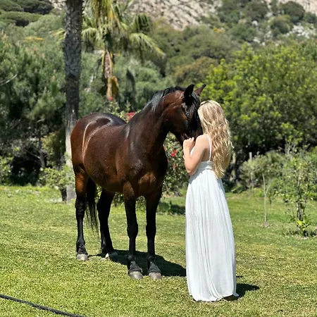 Horses And Nature Tarifa