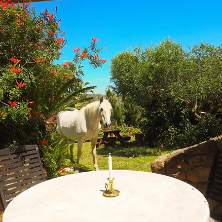 Villa Horses And Nature Tarifa