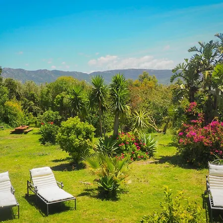 Horses And Nature Villa