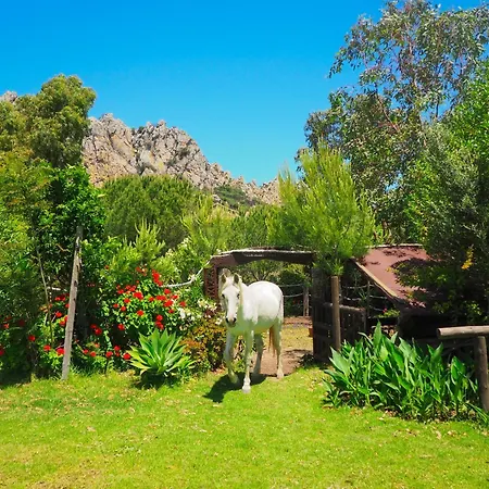 Villa Horses And Nature