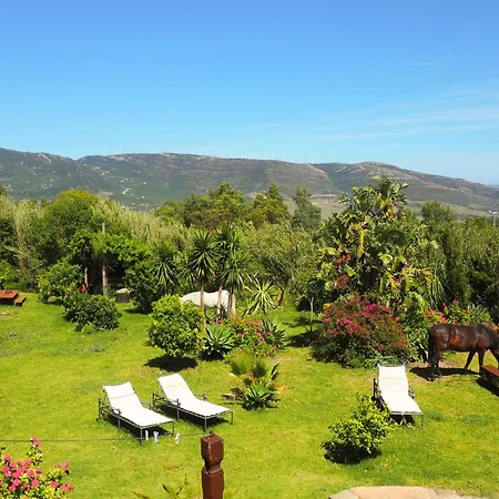 Villa Horses And Nature Tarifa