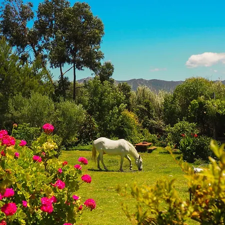 Villa Horses And Nature *