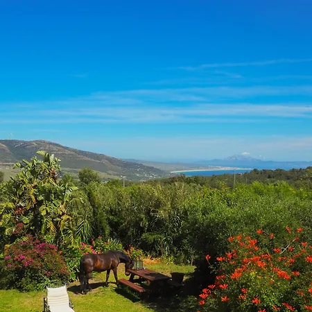 Horses And Nature